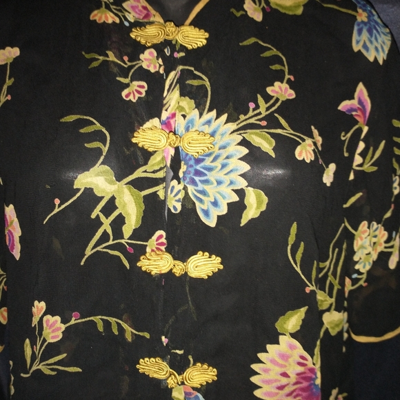 Champagne Collection oriental style blouse. - Picture 5 of 6